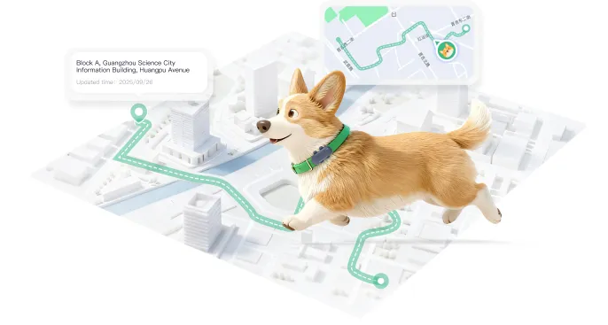 Complete Replay of Pet's Journey